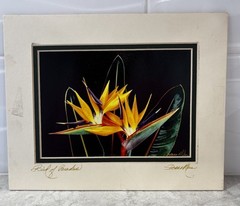 Vintage Signed Bird Of Paradise Laserprint Photography Thru Hawaiian Eyes