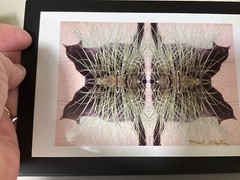 Cat Photography refleted Cats In Grass On Metal Easel Stand 5” X 7”