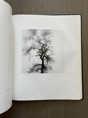 🎈RARE Unique! SIGNED Harry Callahan: Photographs, 1964 1st Ed Limited, Weber
