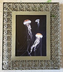 Jelly Fish, Original Photography, Canvas, Platinum Metal Framed