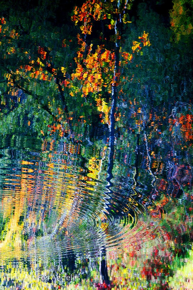 William Hornaday Photo, Aqua Terra 161, 13×19″ print