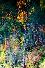 William Hornaday Photo, Aqua Terra 161, 13×19″ print