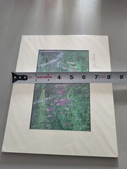 Photography Print By John T Slonina Matted 8×10 Lupine Flowers And Birch Trees