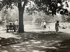 Arthur Gray Standard Oil Photographer Cleveland Ohio Americana Park Scene Look!!