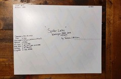 Spider Lake/Aerial View / Metallic Ink Print #1