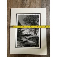 Michael A Smith Photograph Art 11×14 B&W Signed Cypress Knees Bellingrath garden