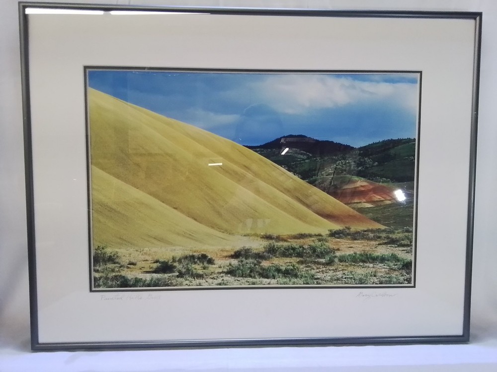 «Painted Hills Gold» – Framed Landscape Photograph by Gary Carlson