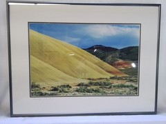 «Painted Hills Gold» – Framed Landscape Photograph by Gary Carlson
