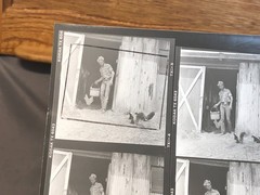 NEWLY FOUND Hendrickson PHOTO Contact Sheet Proof /Negs HOT COWBOY FEEDS SKUNKS
