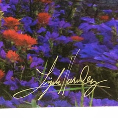ART Original PHOTO Photograph Mt St Helens Washington Signed By Artist 17 x 11