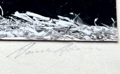 2 days Rare Find ! Signed Ansel Adam Original Photograph, gift for art lovers.