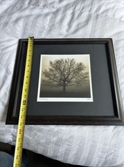 Richard Calvo «Awakening» Glass framed Photo Print 8”x8” OD 15”X7” Signed