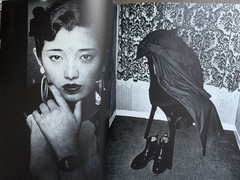 🎈Daido Moriyama – Memories of a Dog Signed & Limited Numbered Ed, English 2004