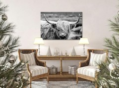 Highland Cow Photography Wildlife Portrait Picture Black and White Closeup An…