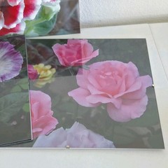 Lot Of 3 Framed Wall Decor Photographed Pictures Feat. Vibrant Flowers 14″ x 12″