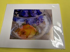 Mark Mittleman Rose in a Bowl 8×10 Photo Print Matted to 11×14