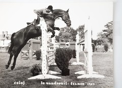 Vintage Film Photo France Equestrian Horse Show Jumping 18X24cm 1970