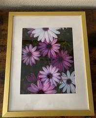 Purple and White Gold Framed Photograph Print