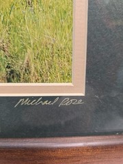 Mt Diablo CA Signed Photo “A Walk in the Woods” Michael Rose Framed 16.5×13.5