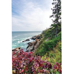 Coast of Maine Wall Art Print, Acadia National Park Photography, Fall Colors