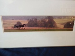 bill coleman amish