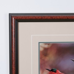 1991 Thomas Mangelsen «The Perch – Carmine Bee-Eaters» Signed L.E. 515/950 Photo