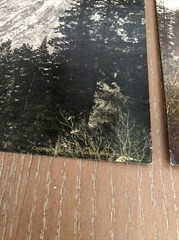 SUPERB 1898 Original Photo Lot Of 2 South Dome El Capitan YOSEMITE 7” x 9”