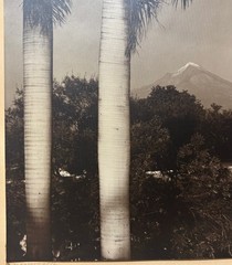 HUGE BREHME ‘Popocatepetl’ MEXICO Volcano Mountain SIGNED Gelatin Silver PHOTO