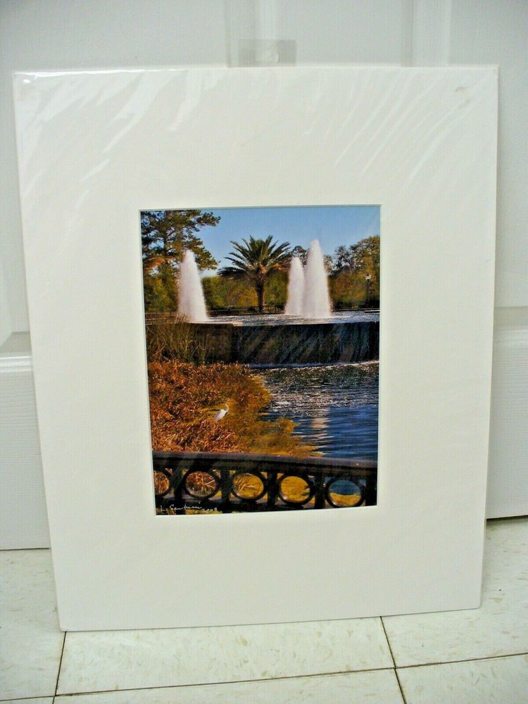 MATTED PHOTOGRAPHY Crane in Grass by Water Waterfall Fountain 16×20 L Santucci