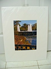 MATTED PHOTOGRAPHY Crane in Grass by Water Waterfall Fountain 16×20 L Santucci