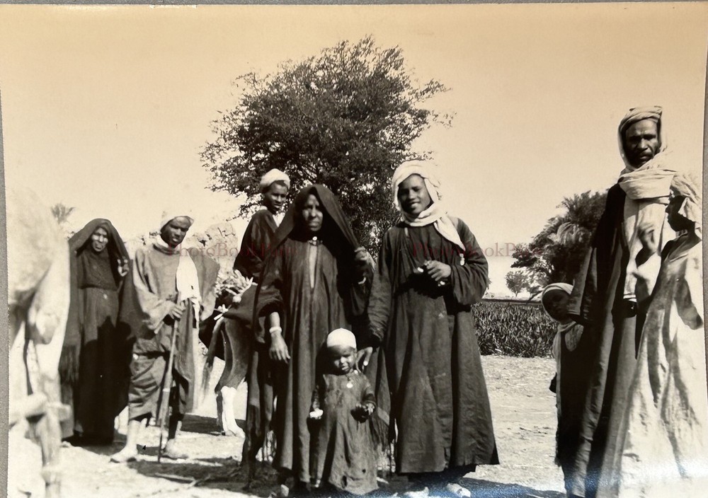 North Africa Algeria Or Egypt C1920 Photograph Analogue Vintage