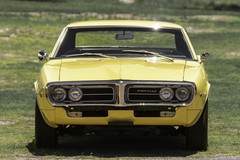 Vintage Yellow Dream – 11×17 Print On Luster Photographic Paper