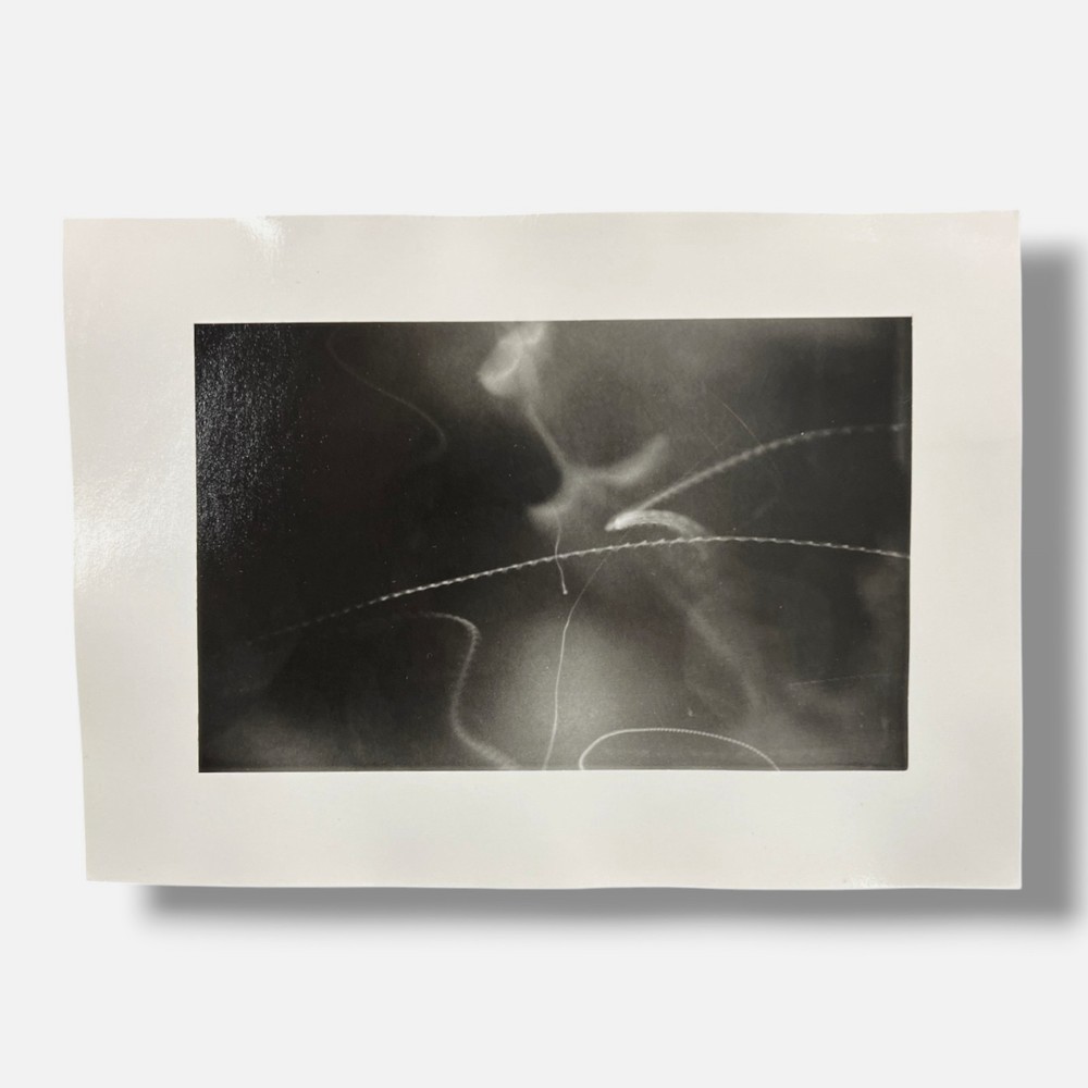 Toni Crabb «FIber 1 (Moths) I» Limited Signed Art Photography Print, 12×17 cm