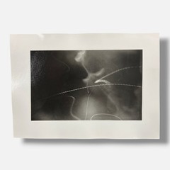Toni Crabb «FIber 1 (Moths) I» Limited Signed Art Photography Print, 12×17 cm
