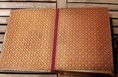 Antique Photo Album 63 Sepia Portrait Photos Women Family Rabin France 1888