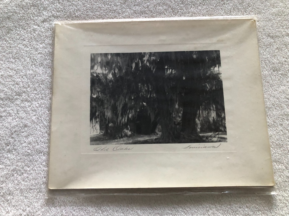 Original Vintage Photography from C. Bennette Moore signed Old Oaks Louisiana