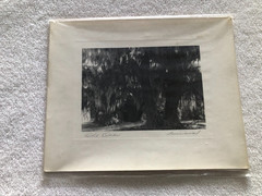 Original Vintage Photography from C. Bennette Moore signed Old Oaks Louisiana