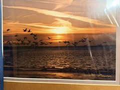 New Emmitt Phalen Sunset Geese Flock Over Water Framed Photograph Print