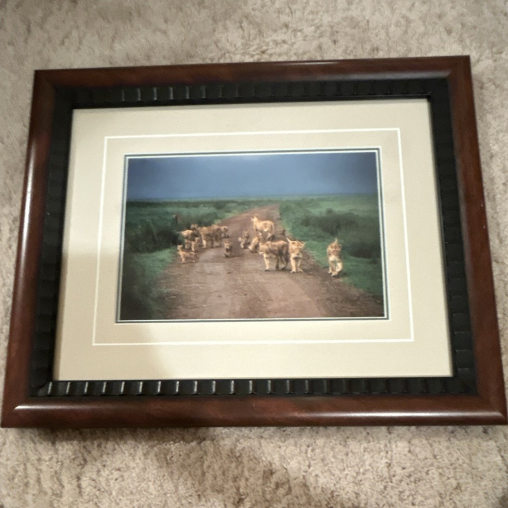 Thomas Mangelsen “Changing Lanes” signed limited edition framed color photo