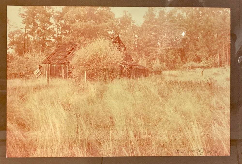 Vintage Barn Photography Rustic Art Photo Framed Farmhouse OOAK 24×18 Yellow