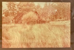 Vintage Barn Photography Rustic Art Photo Framed Farmhouse OOAK 24×18 Yellow