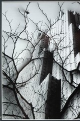 Rare Gary Seidel Signed Photograph Rockefeller Center NYC Winter 1963 20×24″