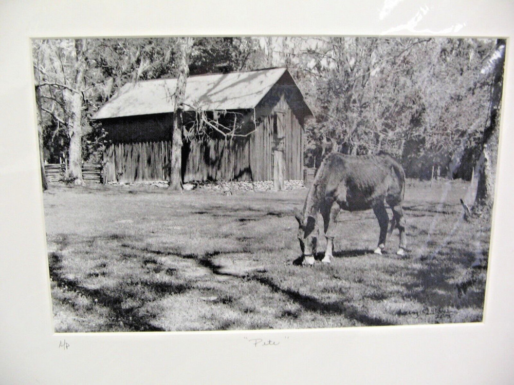 MATTED PHOTOGRAPHY Old Friend Pete A/P B&W 16 x 20 with COA By Larry Santucci