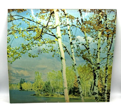 Helmscene Partial Pictures (3pcs) for Craft or Your own Lighted picture Frame