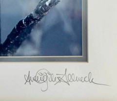 Fine Art Photograph print, Winter Chickadee nature, birds, signed, framed 18×14