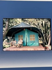 Lot Of 40 Vintage Seychelles Island And Kenya Vacation 35mm Color Slides ct44