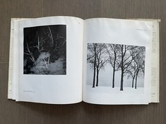 🎈Unique! SIGNED! Harry Callahan 1st Ed 1967 Sherman, Ray Metzker, Weber RARE