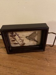 Vintage Fred Thompson Oddities Miniature Tray Art Pressed Moth & Plant Stamped
