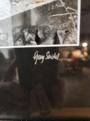 Original Hand-colored Photography By Garry Seidel, «Dark ANGEL» #17/195