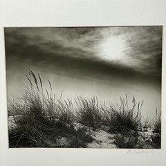 Vintage Photograph ‘On the Dunes’ Scarborough Matted Picture Beach Maritime